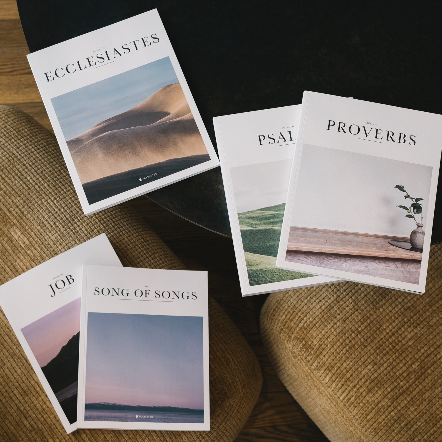 5 Best Bibles For New Believers Alabaster 5 best bibles for new believers alabaster