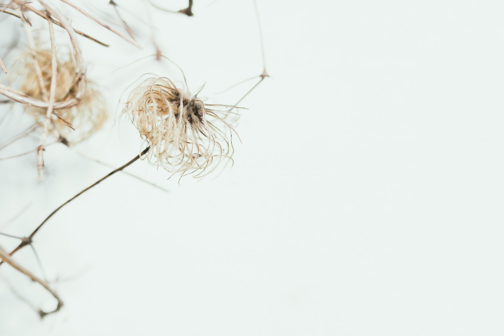 Why did jesus speak in parables alabaster