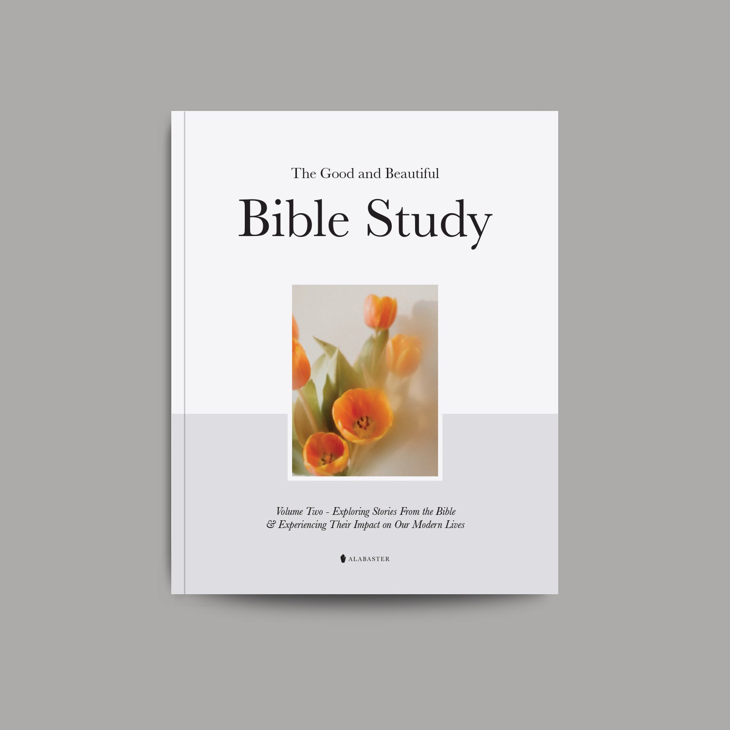 The Good and Beautiful Bible Study - Volume 2