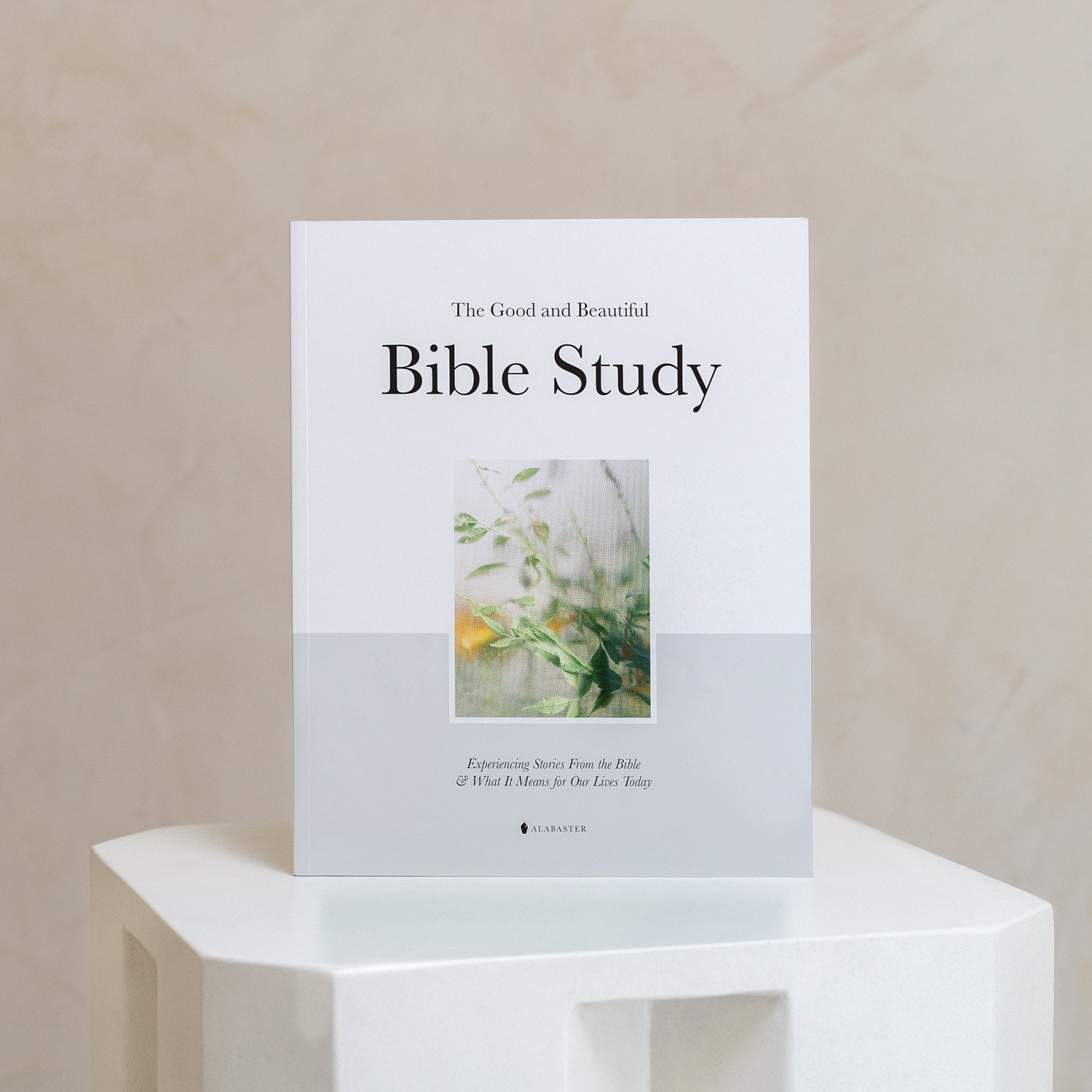 Alabaster bible study on podium