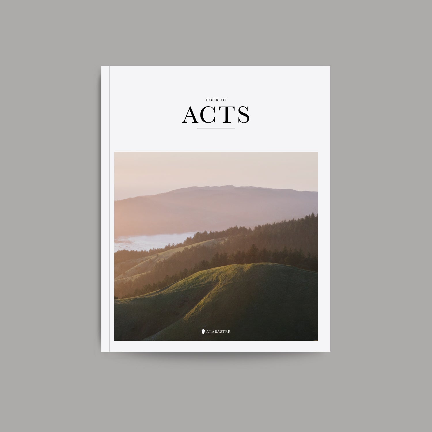 The Book of Acts Softcover