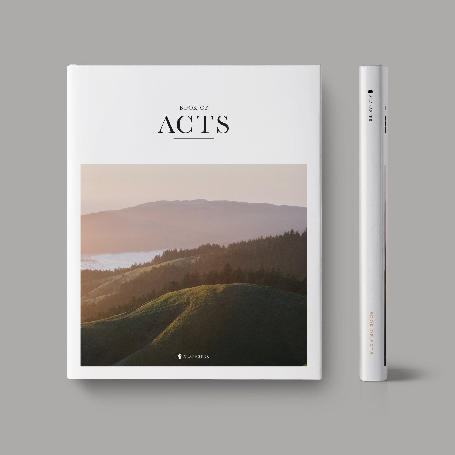 The Book of Acts hardcover