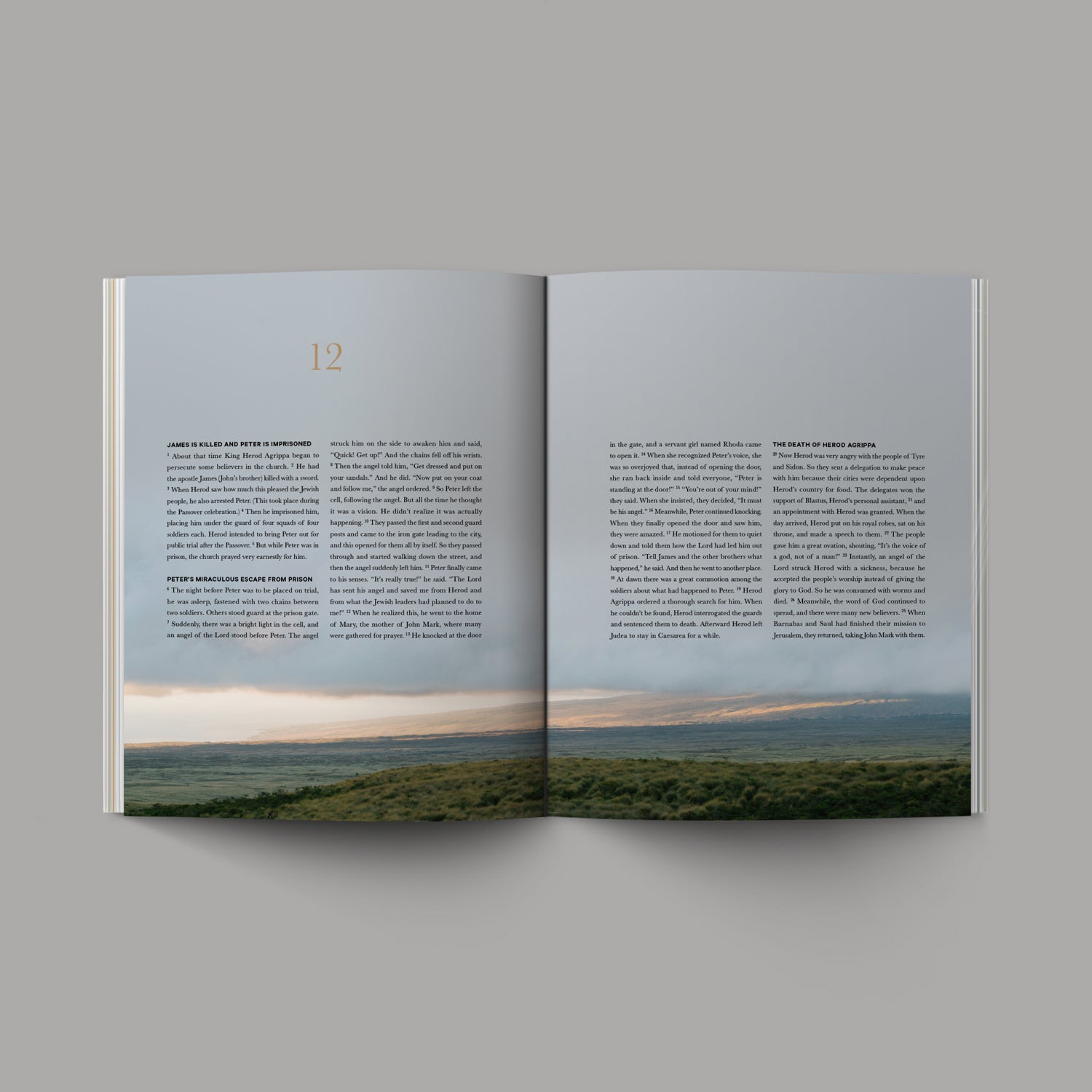 The Book of Acts open, Chapter 12, with image of sunset lanscape