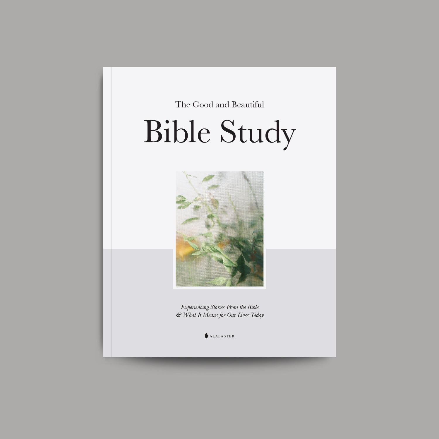 The good and beautiful bible study cover