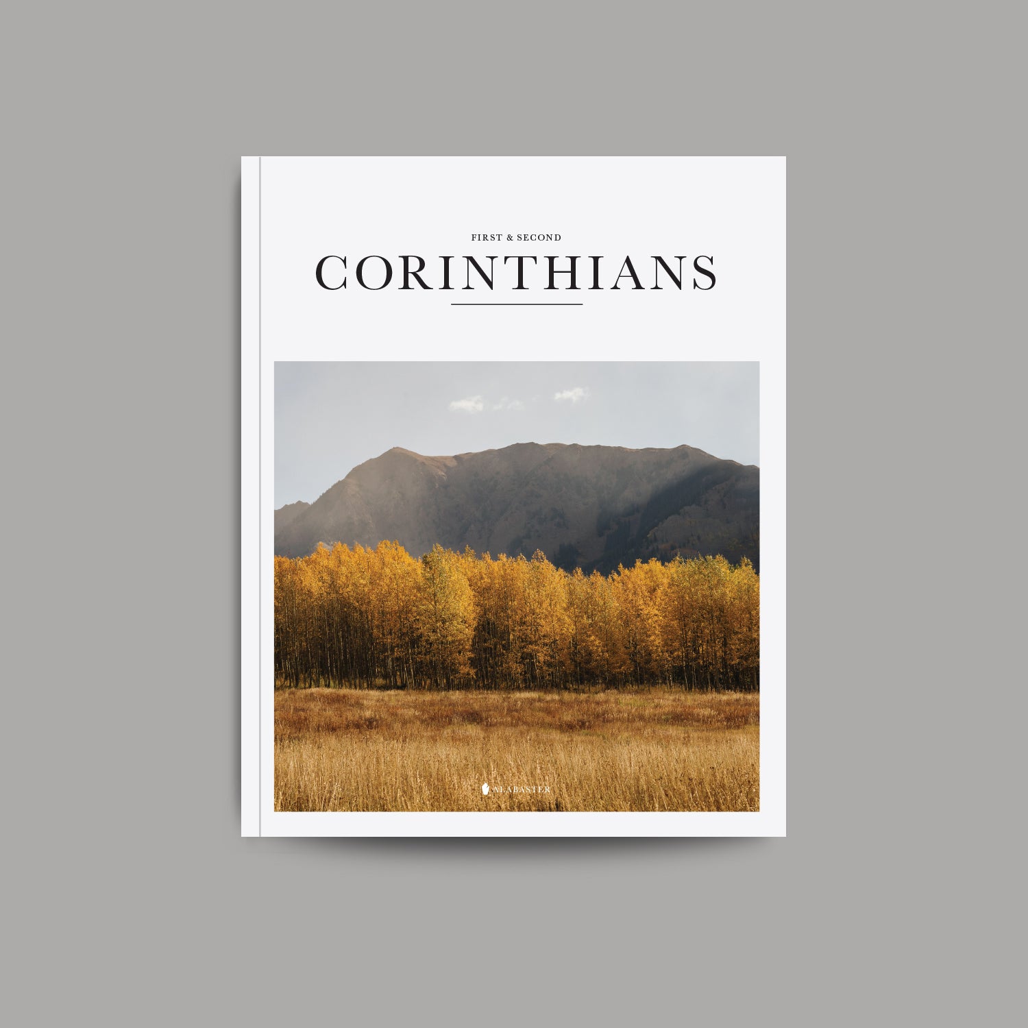 The book of first and second corinthians softcover cover