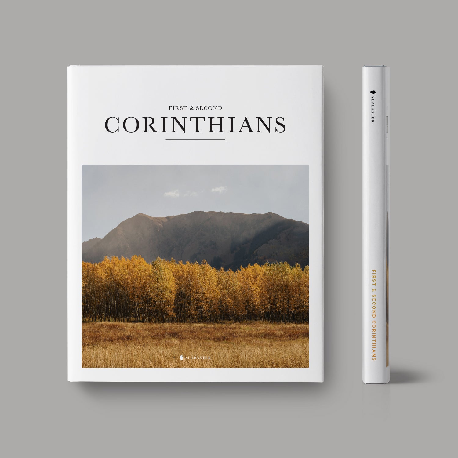 The book of first and second Corinthians hardcover cover