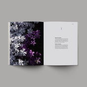 The Book of Ephesians Chapter 1 with image of purple and white flowers
