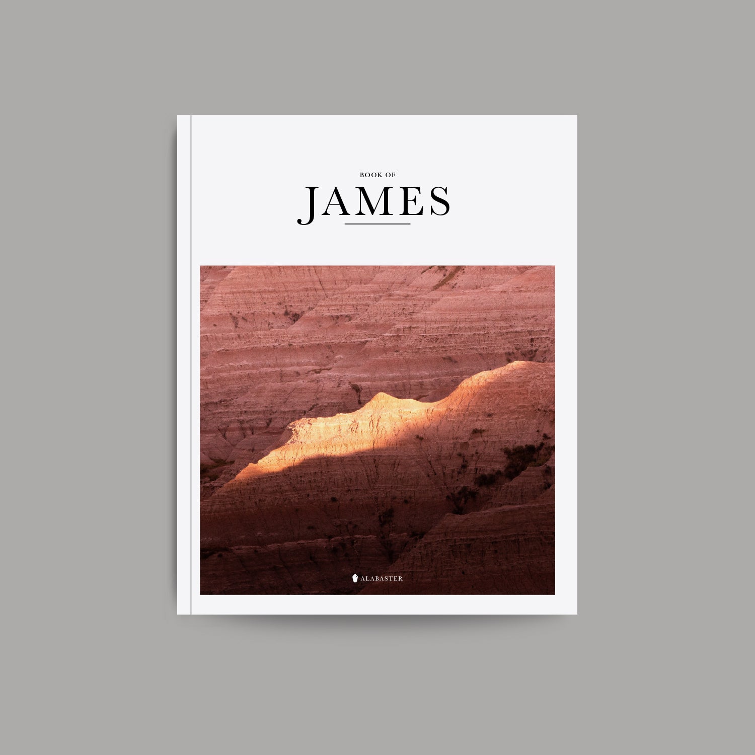 The Book of James softcover