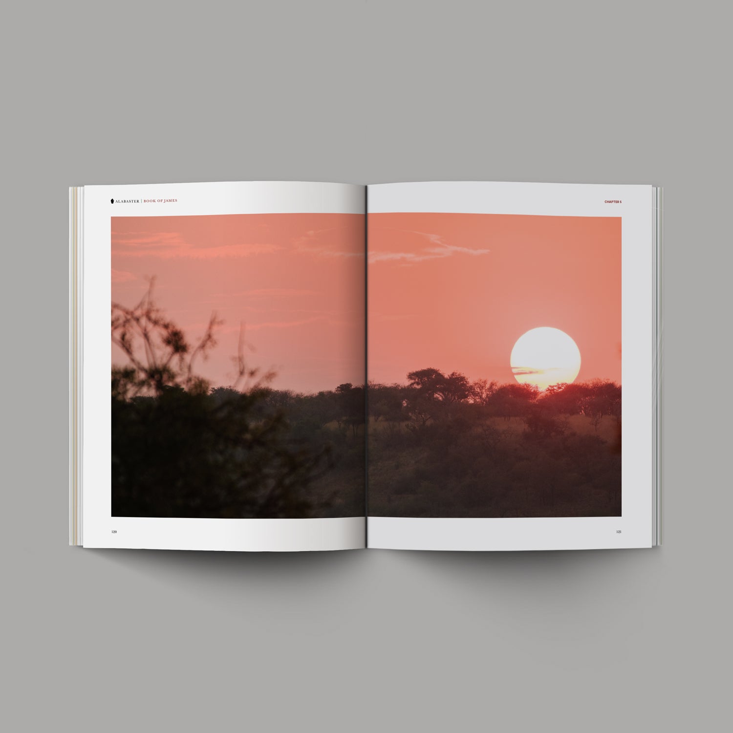 The Book of James open with sunset image