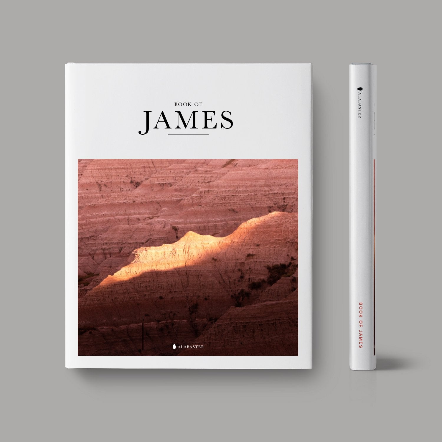 The Book of James hardcover