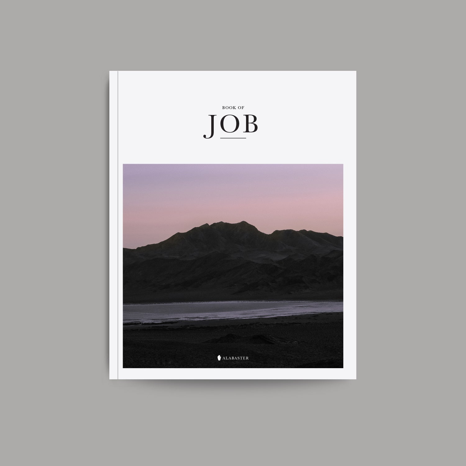 The Book of Job softcover