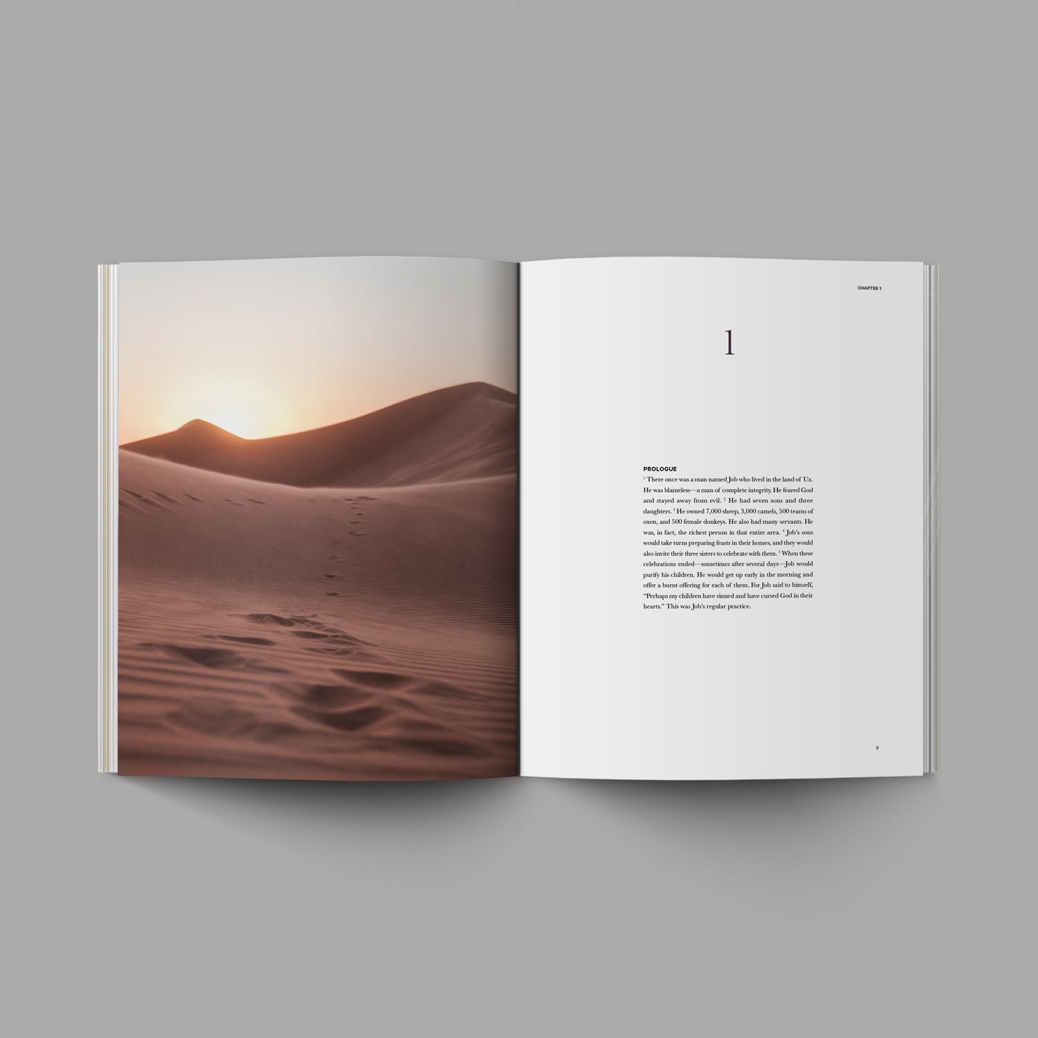 The Book of Job Chapter 1 with desert image