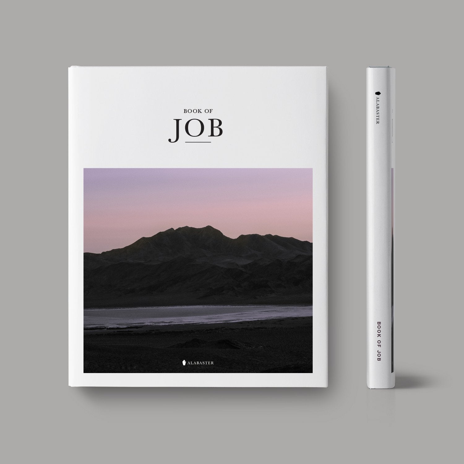 The Book of Job hardcover