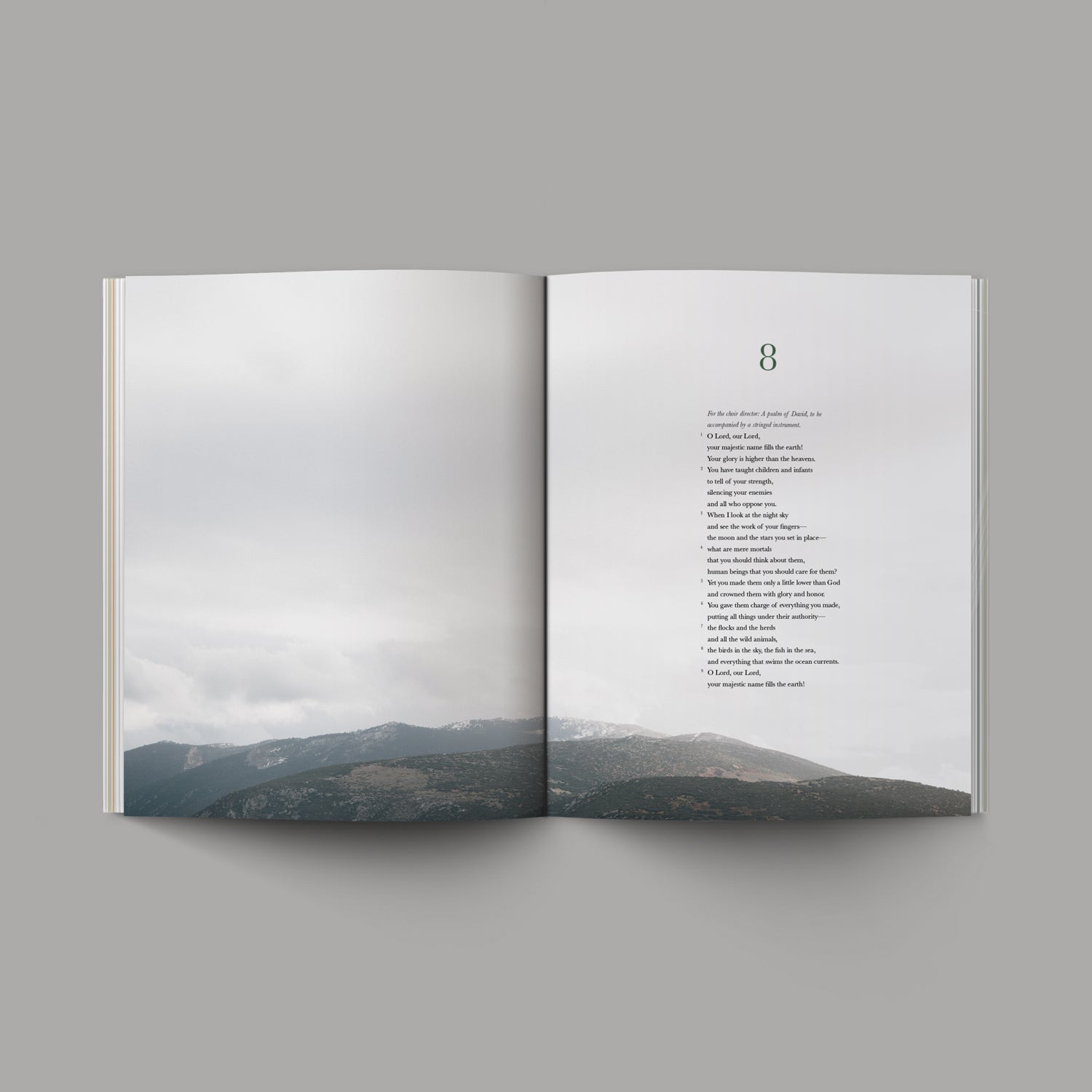 The Book of Psalms NLT, KJV and Spanish NTV Bible
