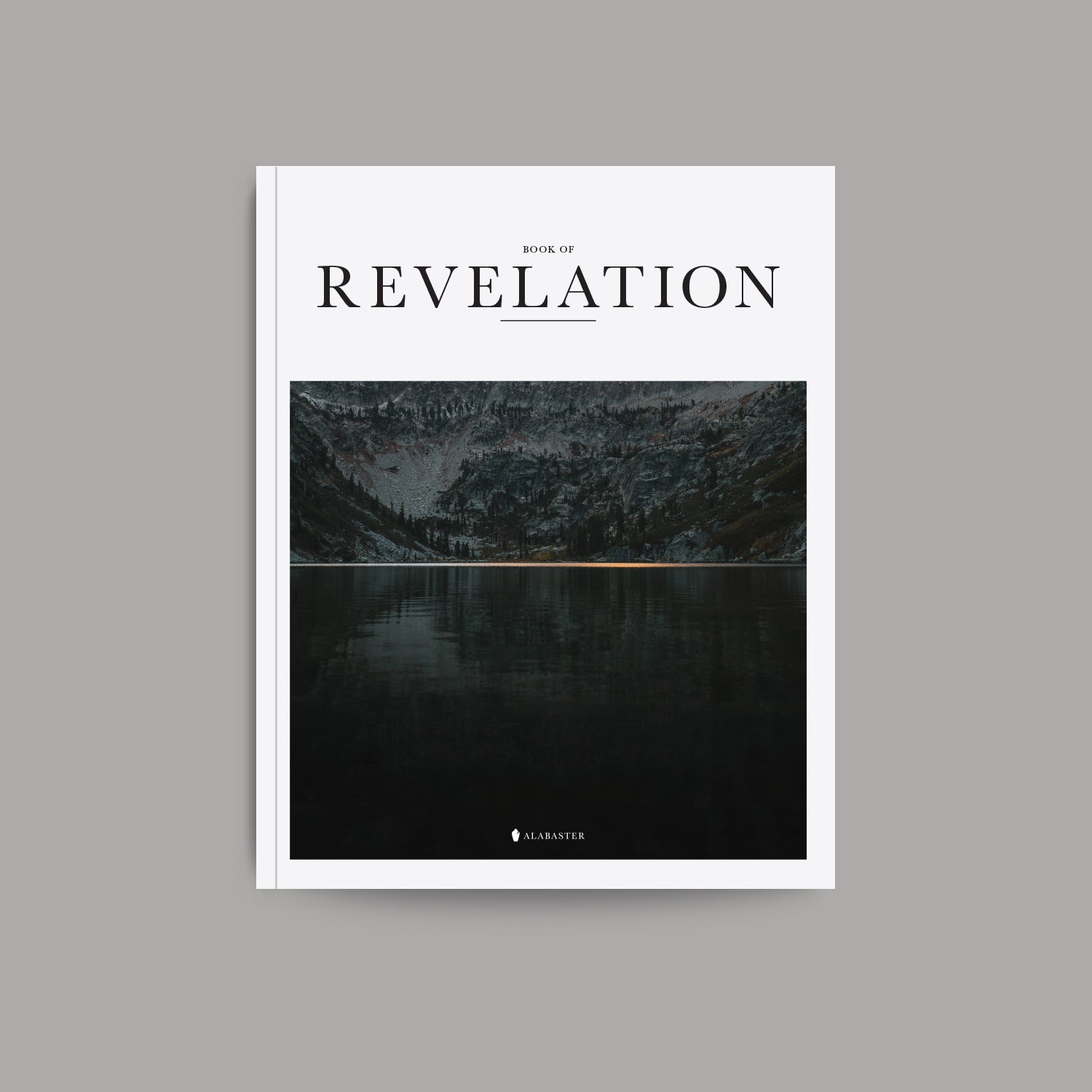 The Book of Revelation softcover