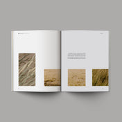 The Book of Ruth open with images of grass and wheat