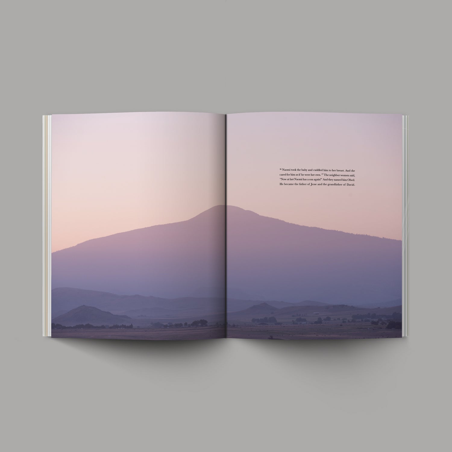 The Book of Ruth open with image of purple landscape